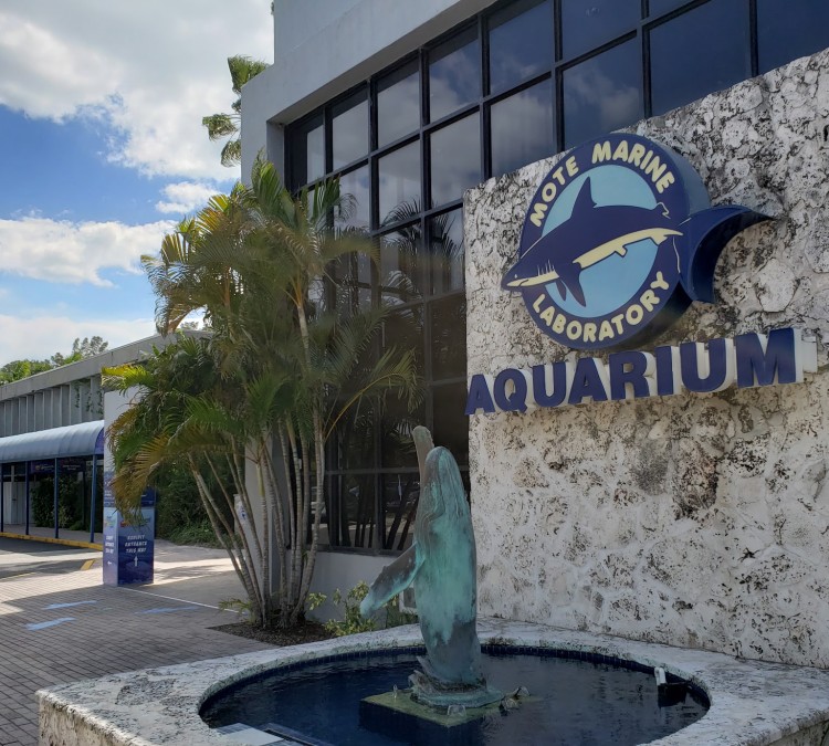 Mote Marine Laboratory & Aquarium (Sarasota,&nbspFL)